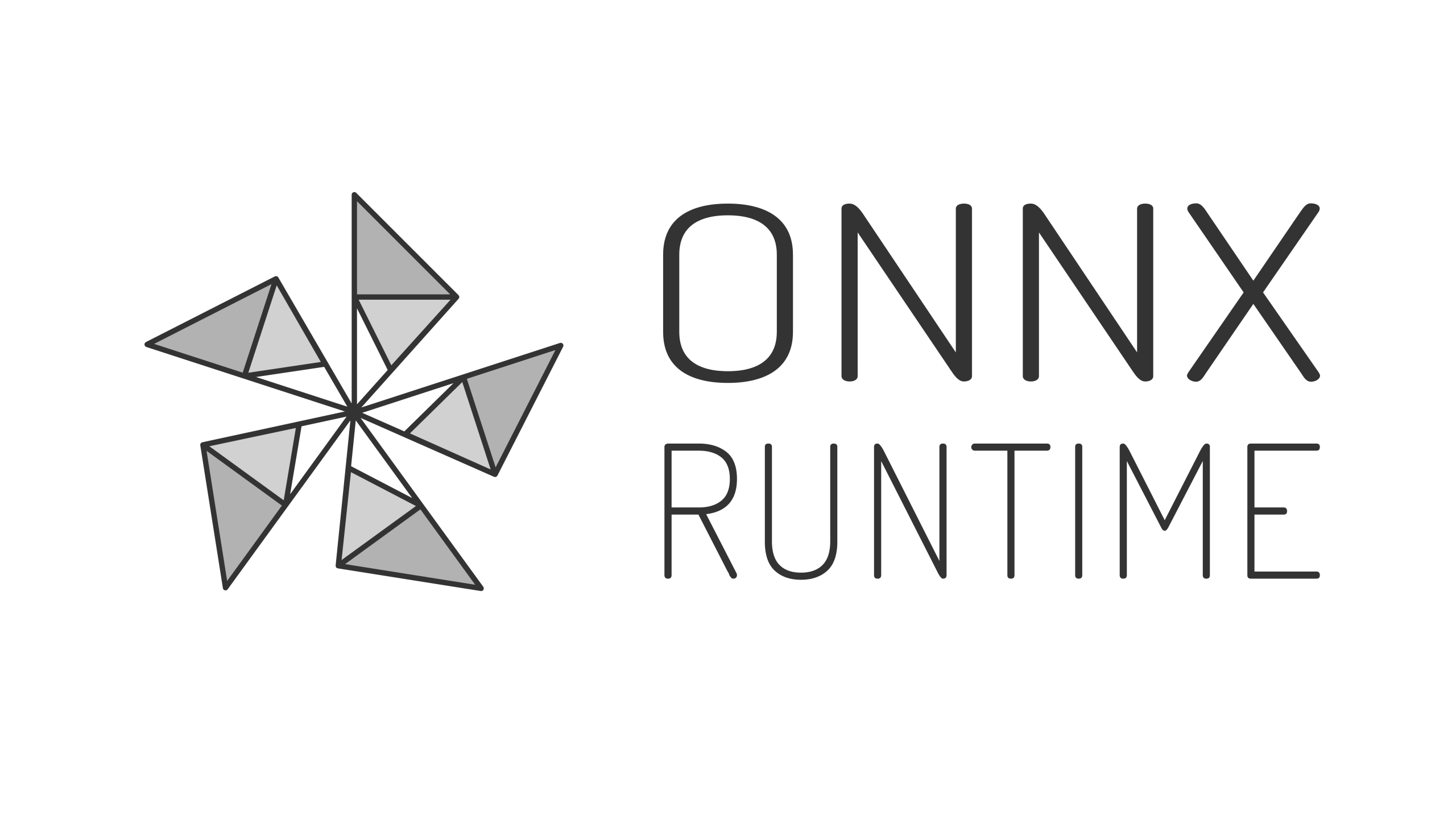 ONNX RUNTIME